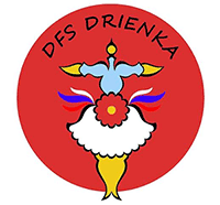 logo drienka